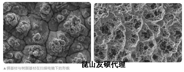 韶关蔡司韶关扫描电镜